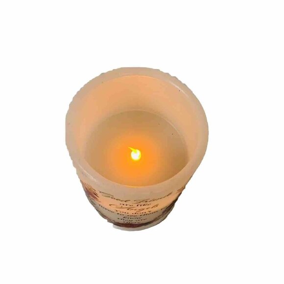 Friend Cardinal Candle Sympathy Flameless Memorial Gifts Flickering Light Poem - Picture 3 of 14